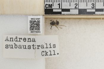 Media type: image;   Entomology 773041 Aspect: Labels